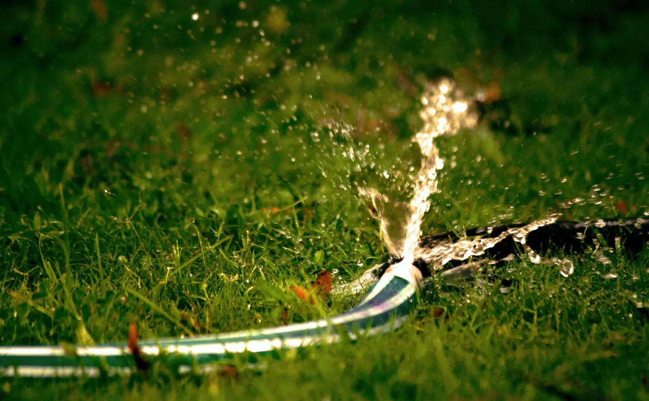 Emergency Water Leak Detection