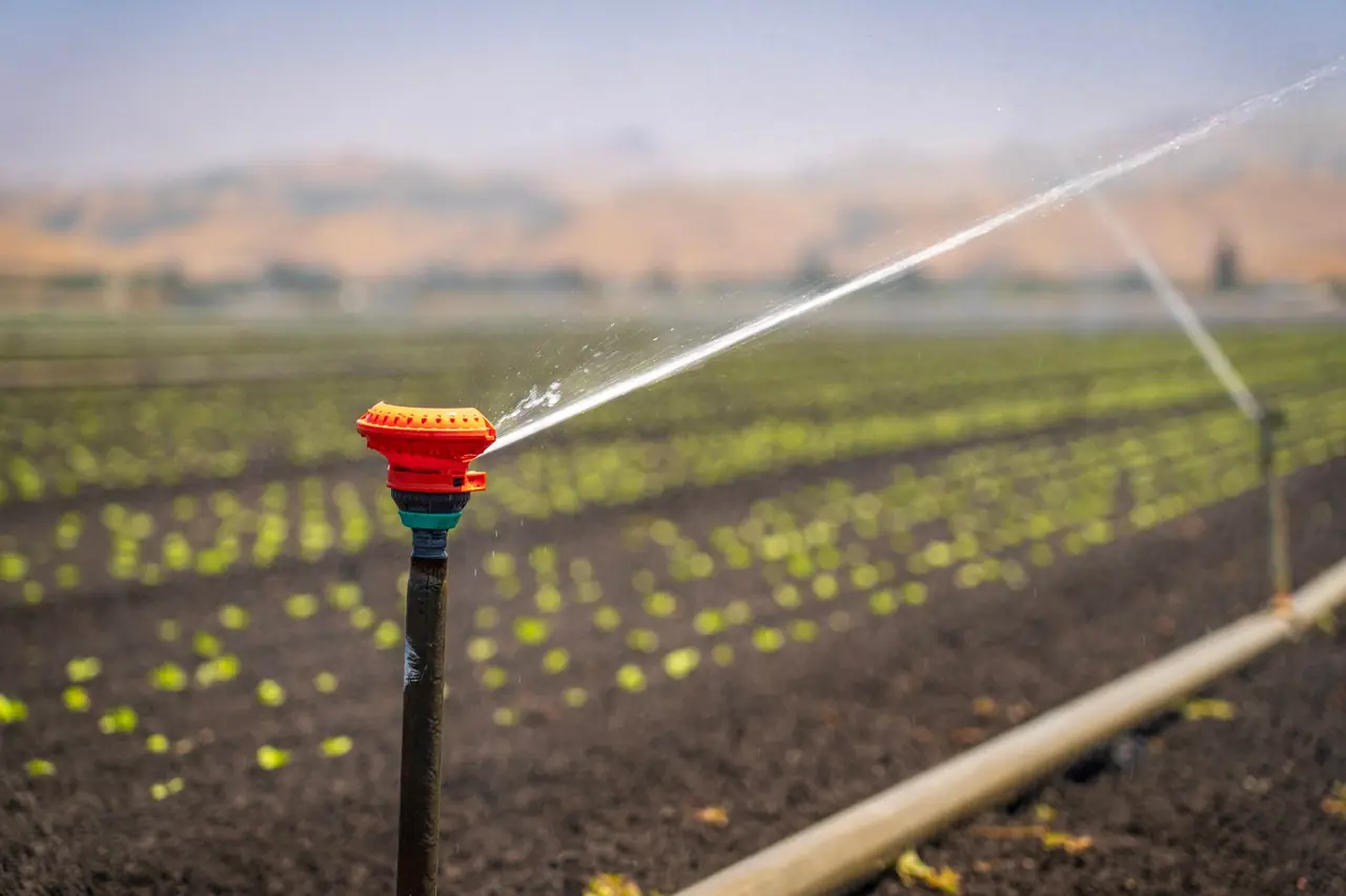 Irrigation System Leak Detection