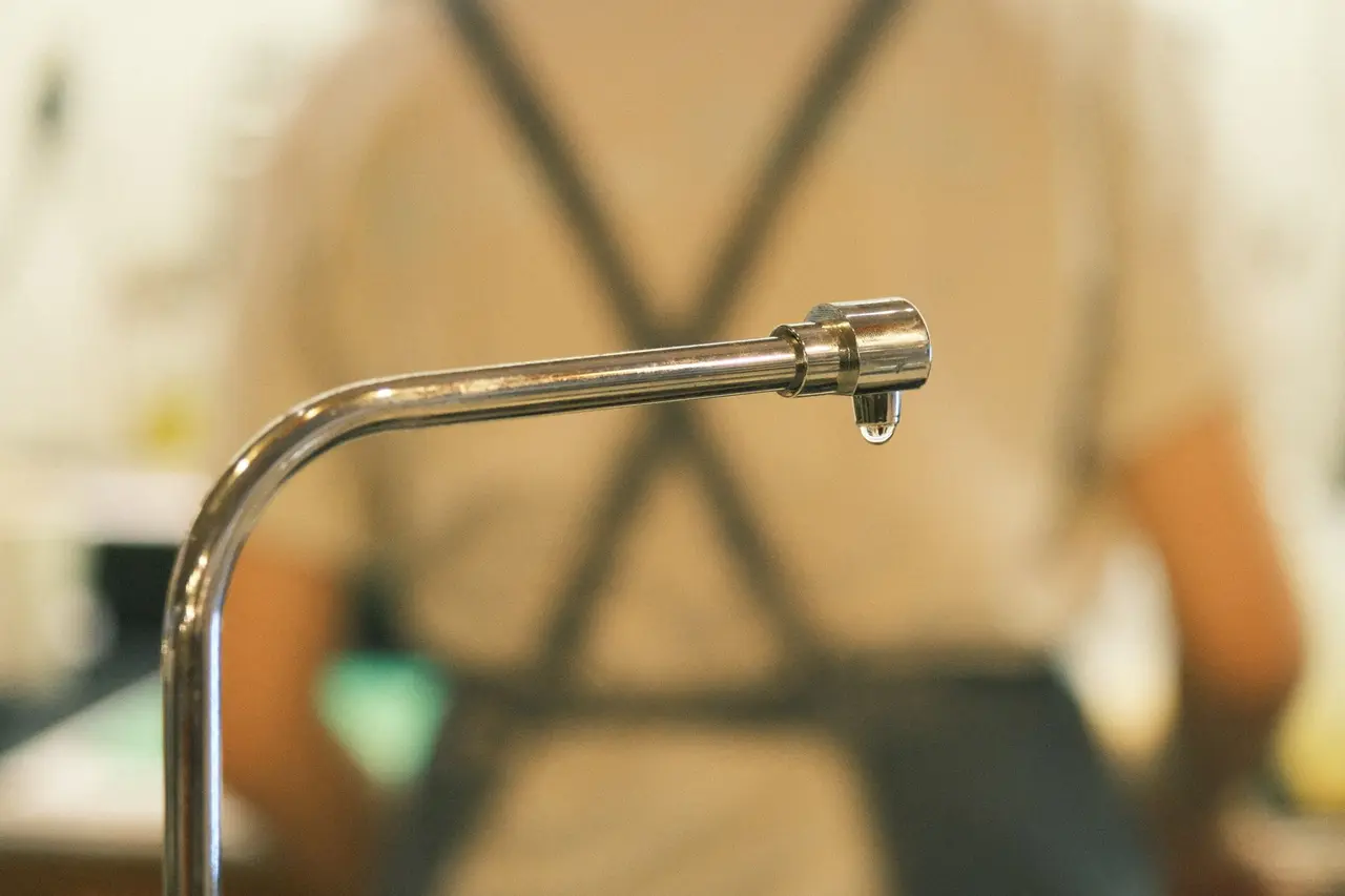 Residential Plumbing Leak Detection